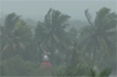 Heavy rain, strong winds in Odisha, Bengal as cyclone Dana makes landfall